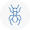 Ant Removals In Cheshire