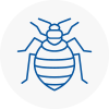Bed Bug Extermination In Cheshire