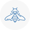 Bee Nest Removal Cheshire