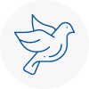 Bird Prevention Cheshire