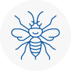 Cheshire Hornet Nest Removals
