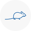 Mice Exterminators In Cheshire