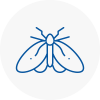 Moth Control Specialists In Cheshire