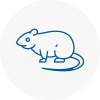 Rat Control Cheshire