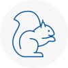 Cheshire Rodent Removals