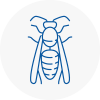 Cheshire Wasp Nest Removal